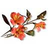 [ Alstromeria ]